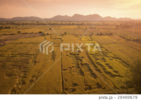 THAILAND KANCHANABURI RICEFIELD 20400679