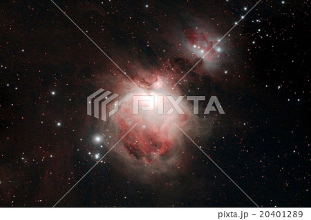 オリオン大星雲　M42 20401289