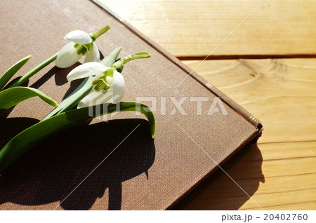 スノードロップと本 20402760