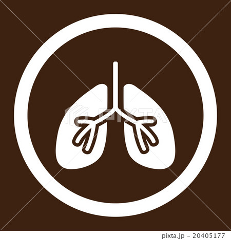 Lungs Rounded Vector Icon 20405177