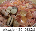 貝殻 貝殻 20408828