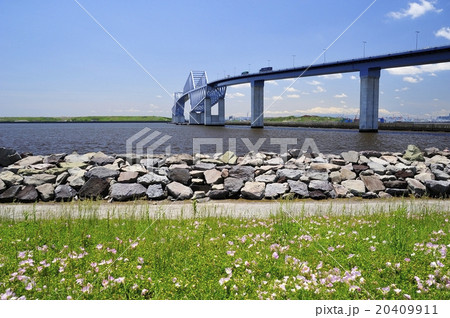 東京ゲートブリッジ 東京ゲートブリッジ 20409911