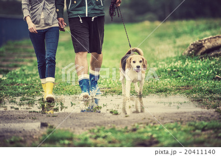Young couple walk dog in rain Young couple walk dog in rain 20411140