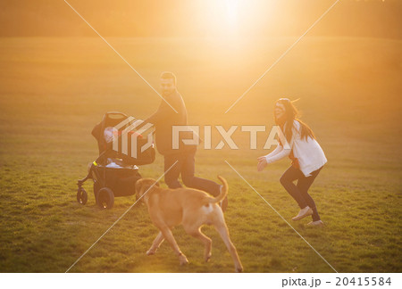 Family with pram in nature 20415584