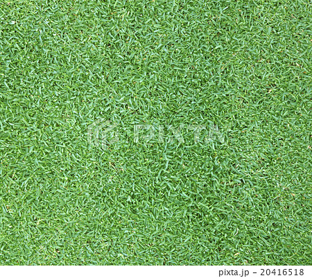 Golf Courses green lawn Golf Courses green lawn 20416518