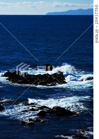 相模湾＠荒崎公園 20417768