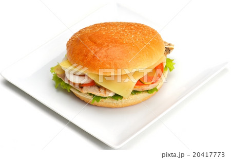 hamburger 20417773