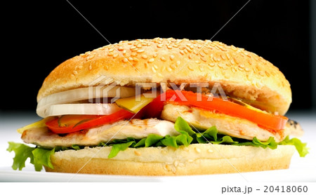 hamburger hamburger 20418060