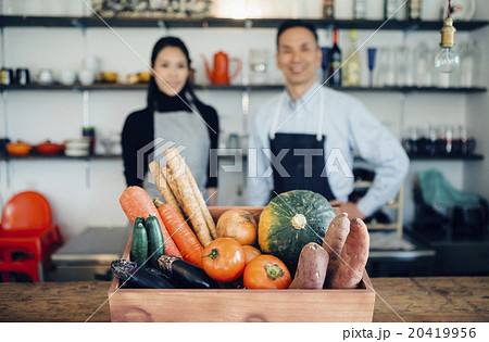 とれたての新鮮な野菜 20419956