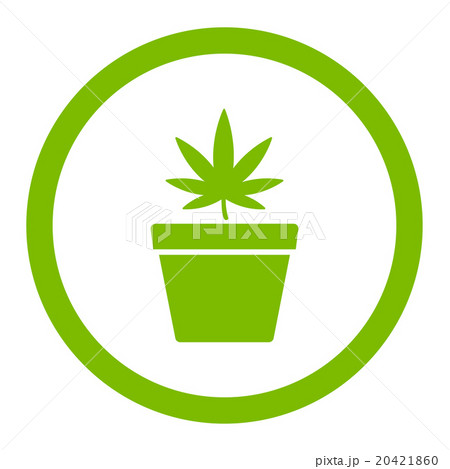 Cannabis Pot Rounded Vector Icon 20421860