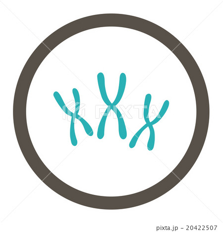 Chromosomes Rounded Vector Icon Chromosomes Rounded Vector Icon 20422507