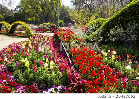 公園 パーク 園 20427062