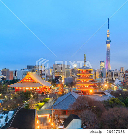 View of Tokyo skyline at twilight View of Tokyo skyline at twilight 20427388