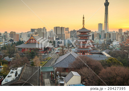 View of Tokyo skyline at twilight 20427395