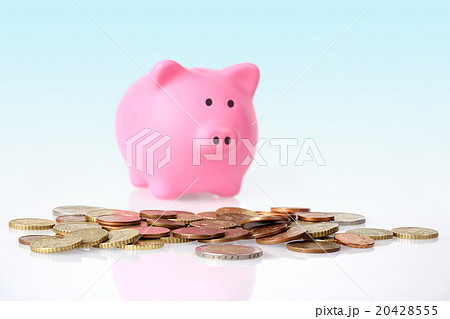 Euro Coins and Piggy bank Euro Coins and Piggy bank 20428555