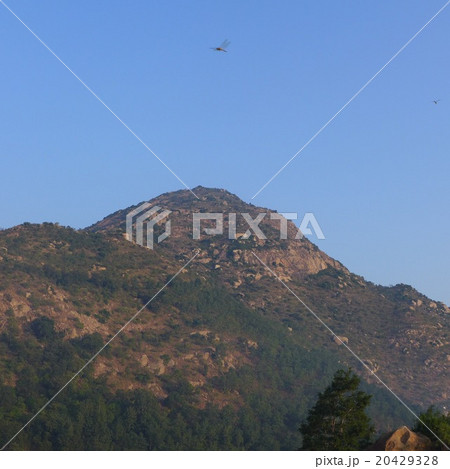 朝日を浴びるアルナーチャラ 朝日を浴びるアルナーチャラ 20429328