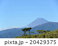 夏の富士山 20429375