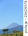 夏の富士山 20429378