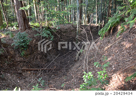 丸子城　三日月堀 20429434