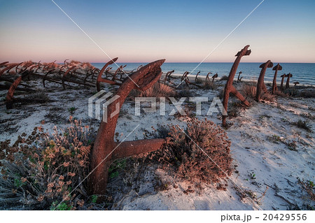 Portuguese beach cemetery anchors. Barril. Portuguese beach cemetery anchors. Barril. 20429556