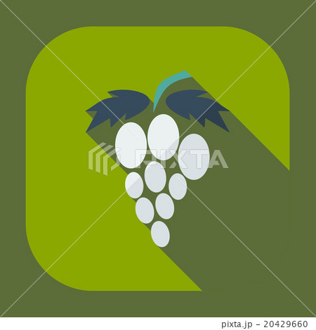 Flat modern design with shadow icons grapes Flat modern design with shadow icons grapes 20429660