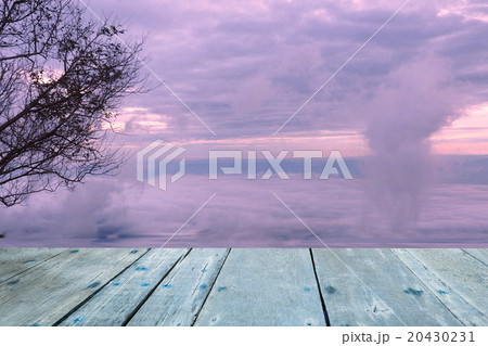 Planks Trees blurred background sky Planks Trees blurred background sky 20430231