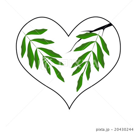 Branch of Green Leaves in A Heart Shape 20430244
