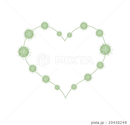 Urena Lobata Fruits in A Heart Shape 20430249