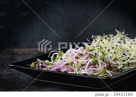 Mix of Fresh Sprouts Mix of Fresh Sprouts 20431160