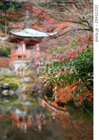 醍醐寺弁天堂の紅葉 醍醐寺弁天堂の紅葉 20432232