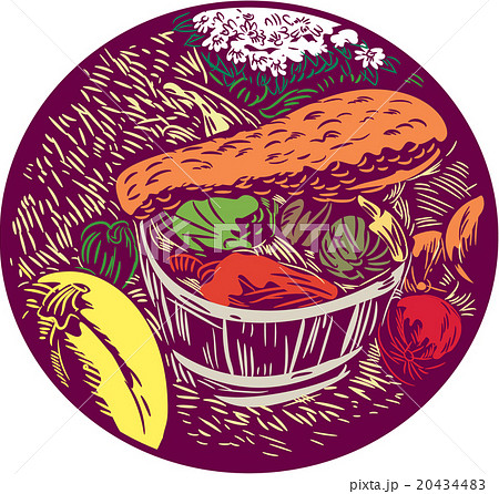 Winter Squash Pumpkin Oval Woodcut 20434483