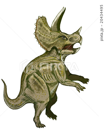 恐竜イラスト トリケラトプスのイラスト素材 20434495 Pixta