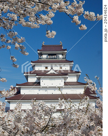 鶴ヶ城と桜 20434624