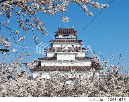 鶴ヶ城と桜 20434626
