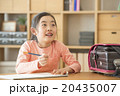 リビングで勉強する女の子 20435007