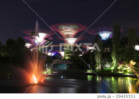 ガーデンズバイザベイの夜景 20435551