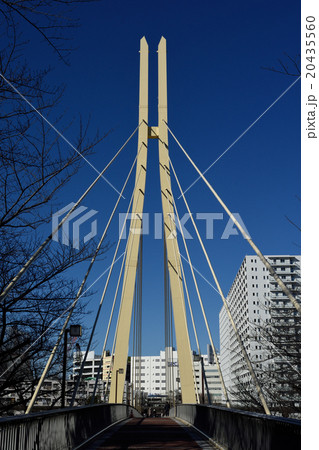 斜張橋の塔部と青空 20435560