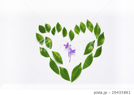Natural love Natural love 20435861