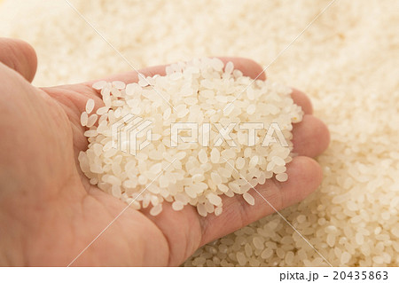 米　金バック 20435863