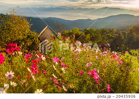 Beautiful mountain Doi Luang Chiang Dao 20435936