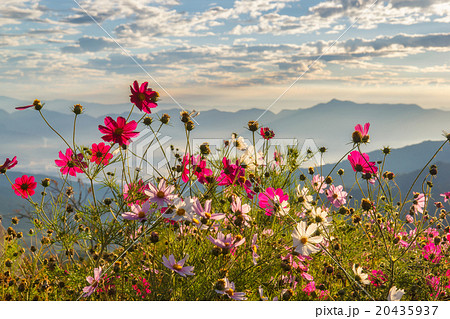 Beautiful mountain Doi Luang Chiang Dao 20435937