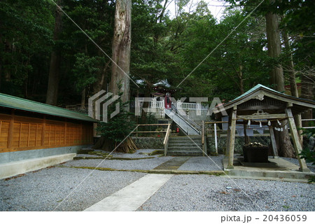 伊東市「池」の山神社 20436059