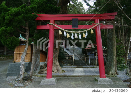 伊東市「池」の山神社 20436060