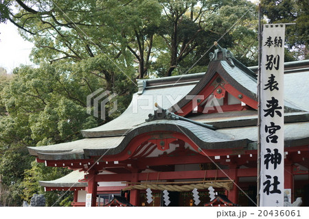 熱海　来宮神社 20436061