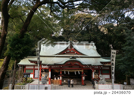 熱海　来宮神社 20436070