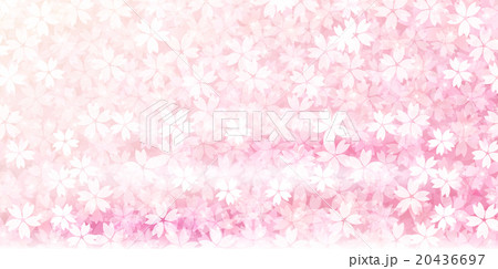 桜　春　花　背景  20436697