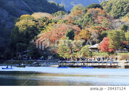 京都嵐山・紅葉風景 20437124