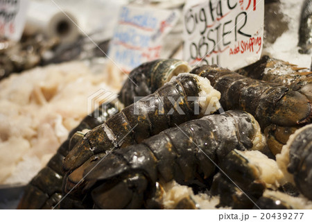 Big lobsters stall in Pike Place Market, Seattle Big lobsters stall in Pike Place Market, Seattle 20439277