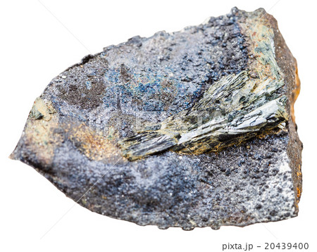 vivianite crystals in fossil stone shell isolated vivianite crystals in fossil stone shell isolated 20439400