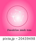 Dandelion pink icon 20439498